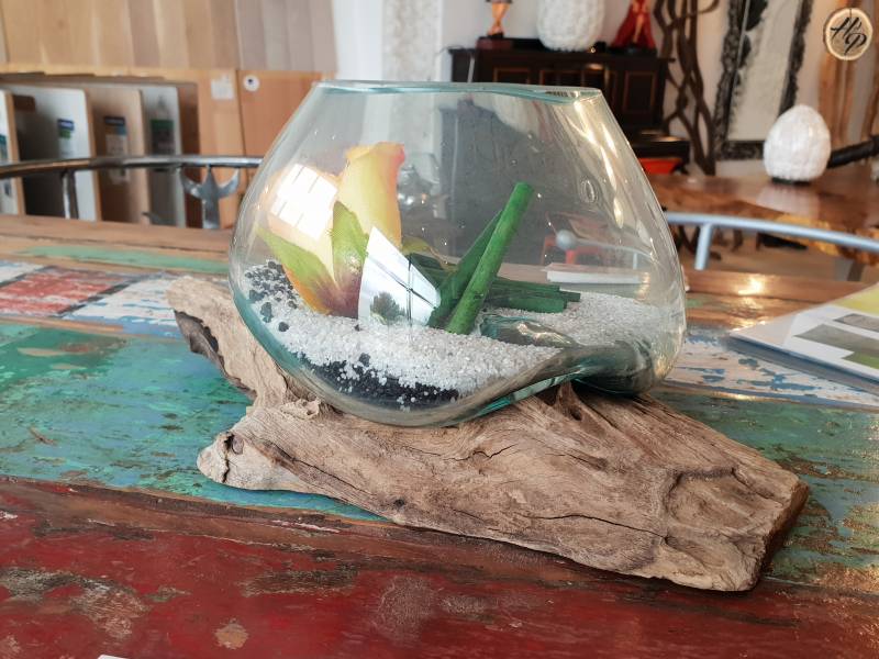 aquarium verre racine teck Marseilles 13