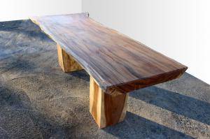 table tronc d'arbre exotique suar vernis écologique design moderne décorateur Brest 29